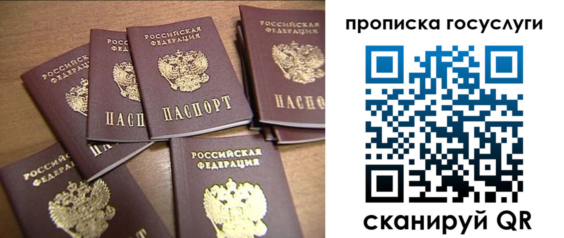 прописка для работы в Мончегорске
